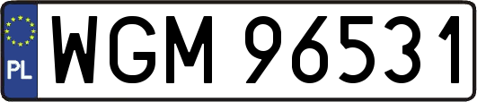 WGM96531