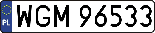 WGM96533