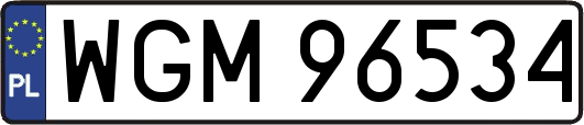 WGM96534
