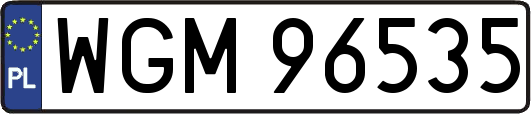 WGM96535