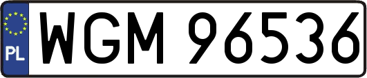 WGM96536