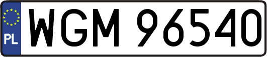 WGM96540