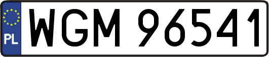 WGM96541