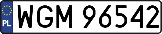 WGM96542