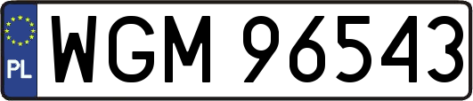 WGM96543