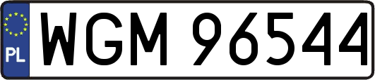 WGM96544