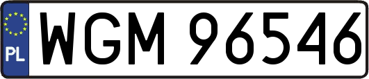 WGM96546