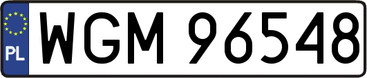 WGM96548