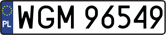 WGM96549