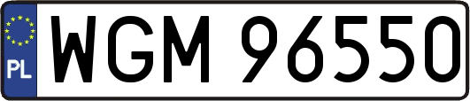 WGM96550
