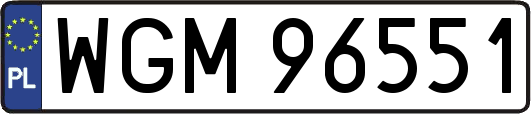 WGM96551