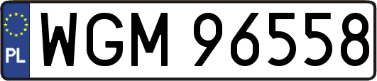 WGM96558