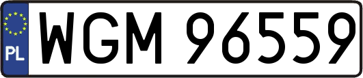 WGM96559