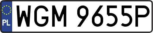 WGM9655P
