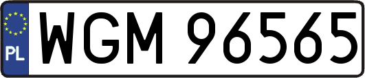 WGM96565