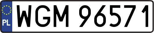 WGM96571