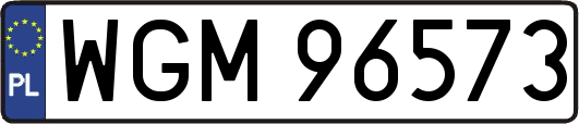 WGM96573