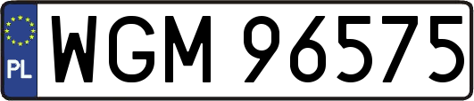 WGM96575