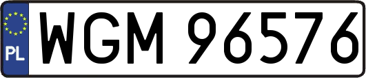 WGM96576
