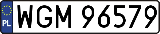 WGM96579