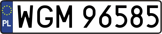 WGM96585
