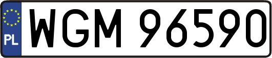 WGM96590
