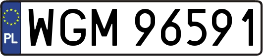 WGM96591