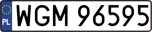 WGM96595