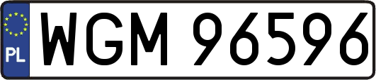 WGM96596
