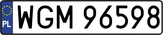 WGM96598