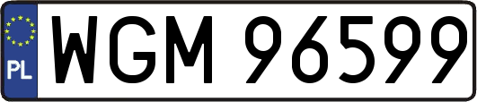 WGM96599