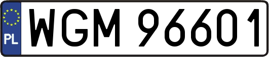 WGM96601