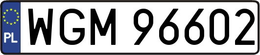 WGM96602