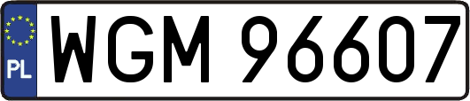 WGM96607