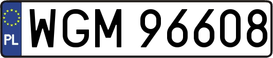 WGM96608