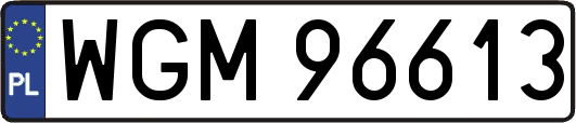 WGM96613