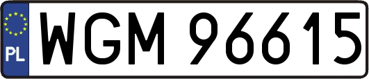 WGM96615