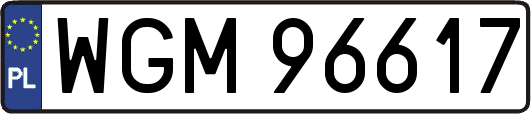 WGM96617