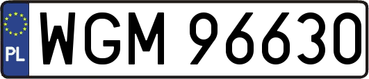 WGM96630