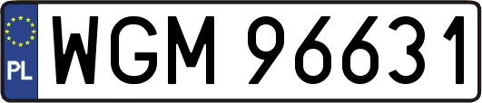 WGM96631