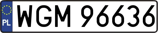 WGM96636