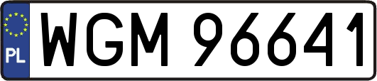WGM96641