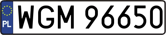 WGM96650