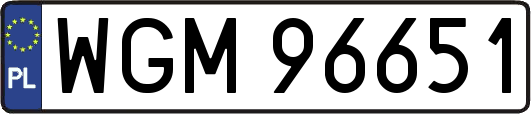 WGM96651