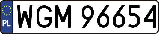 WGM96654