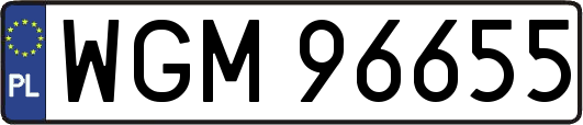 WGM96655