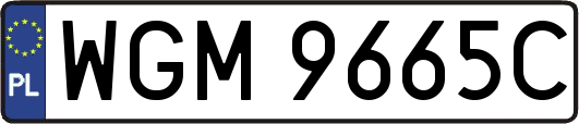 WGM9665C