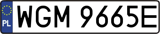 WGM9665E