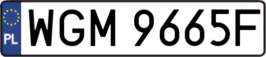 WGM9665F