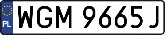 WGM9665J